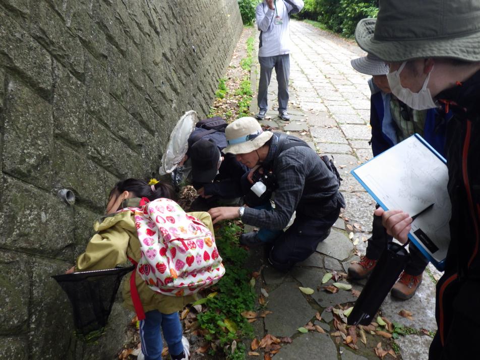 崖地でも探す