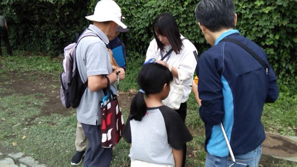 観察の様子