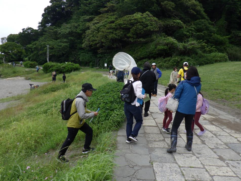 進んでいく