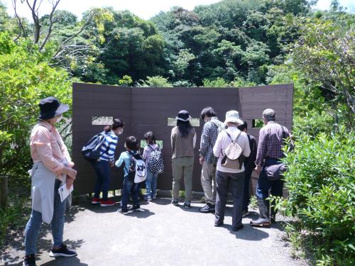 池が見える