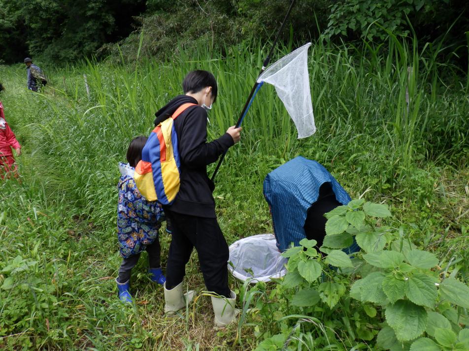 子どもたちが見つけた？