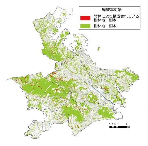 竹林により構成されている樹林地・樹木