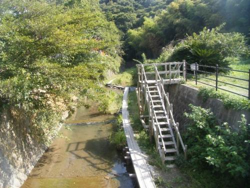 お国橋から見た前田川の写真