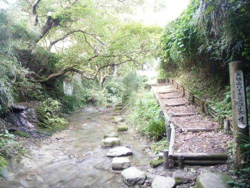 大楠山登山口への分岐の写真