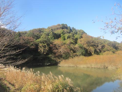 沢山池・秋冬