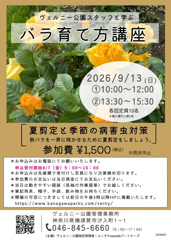 0913rosegrowing