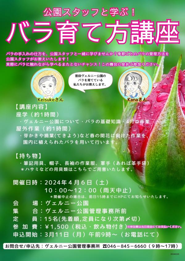バラ育成講座