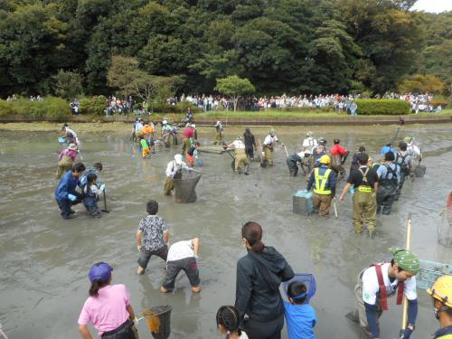 四季の池の中に入る大勢の人達