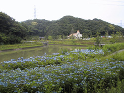 四季の池周辺