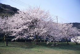 南郷公園の写真