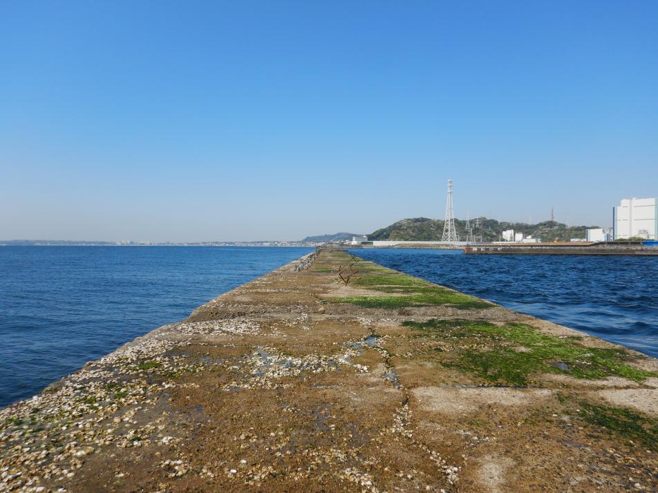 kinkei2