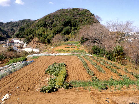 茅山貝塚