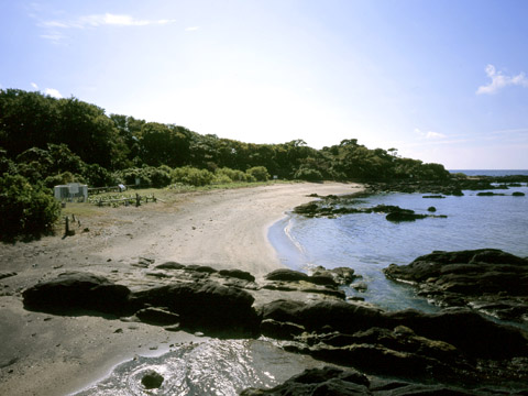 天神島・笠島及び周辺水域