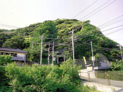 白髭神社の社叢林