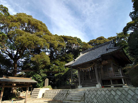 三島社の社叢林