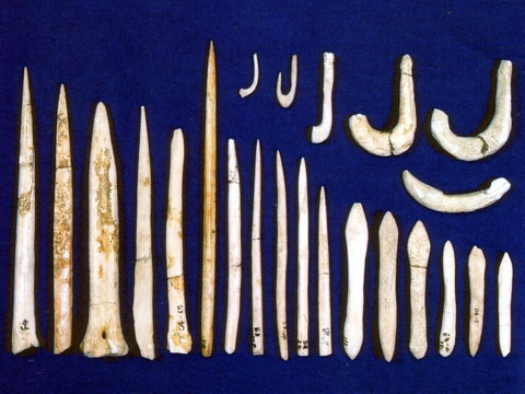 横須賀市吉井貝塚から出土した縄文時代早期の骨角牙器・貝製品