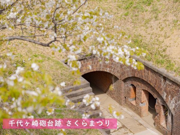 sakuramaturihp