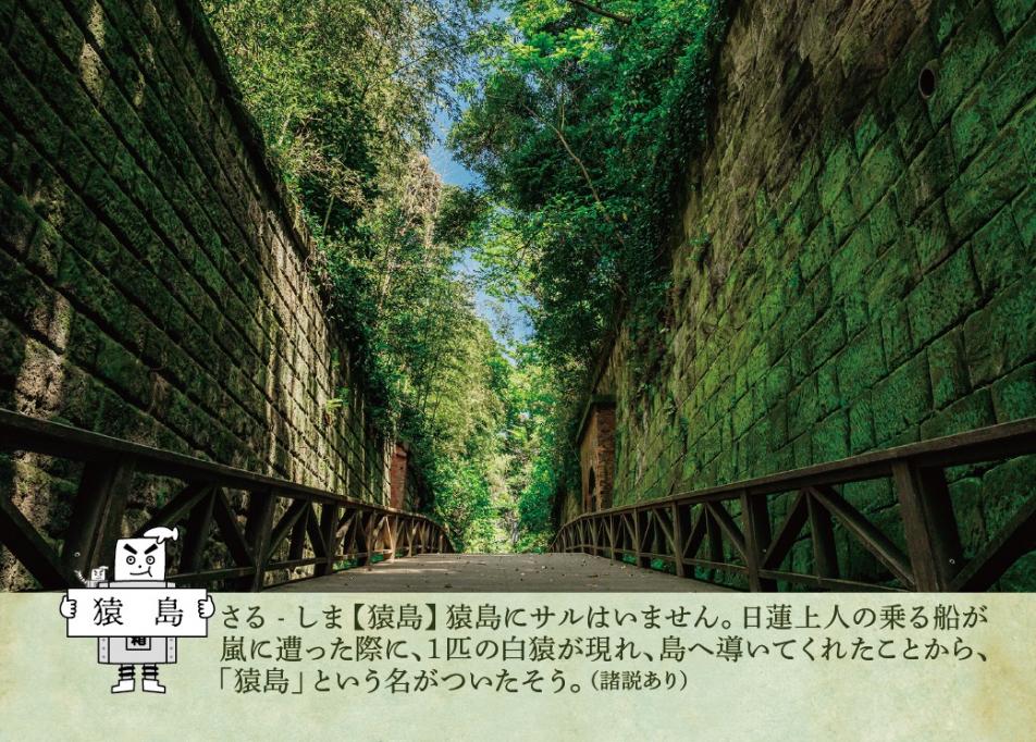 R7市長市議補_来場者証（裏）