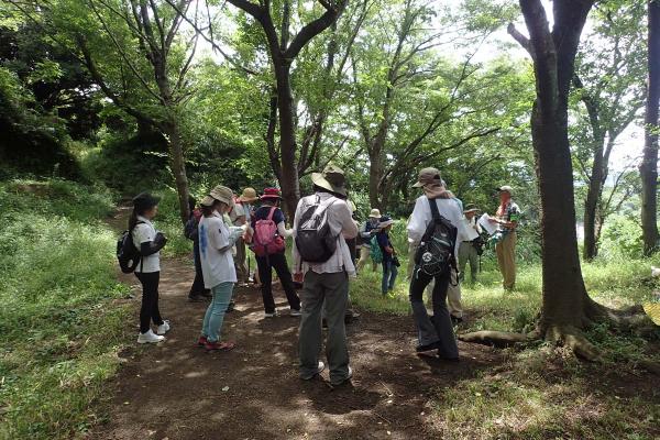 観察会の様子