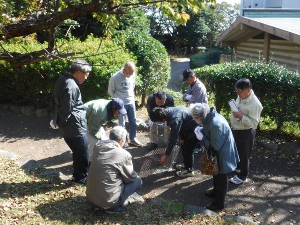捕獲講習会　実習