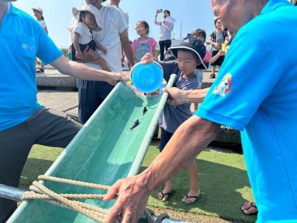稚魚の放流