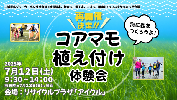 再開催（コアマモ植え付け体験会）