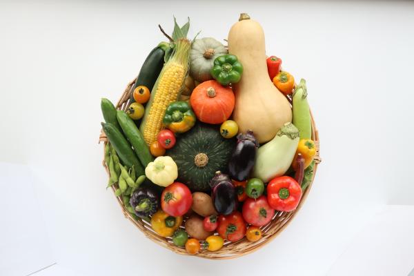 よこすか野菜