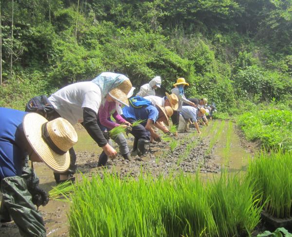 里山ボランティア