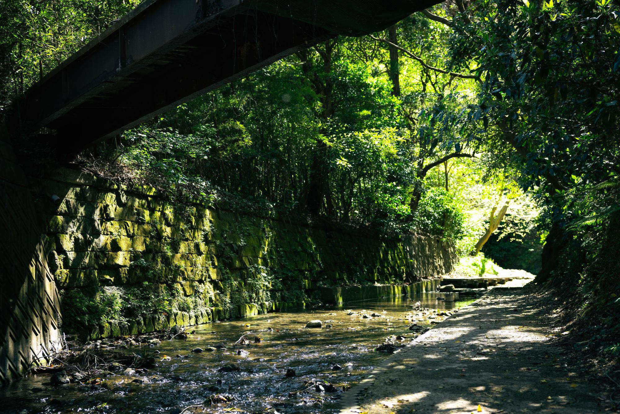 前田川_横