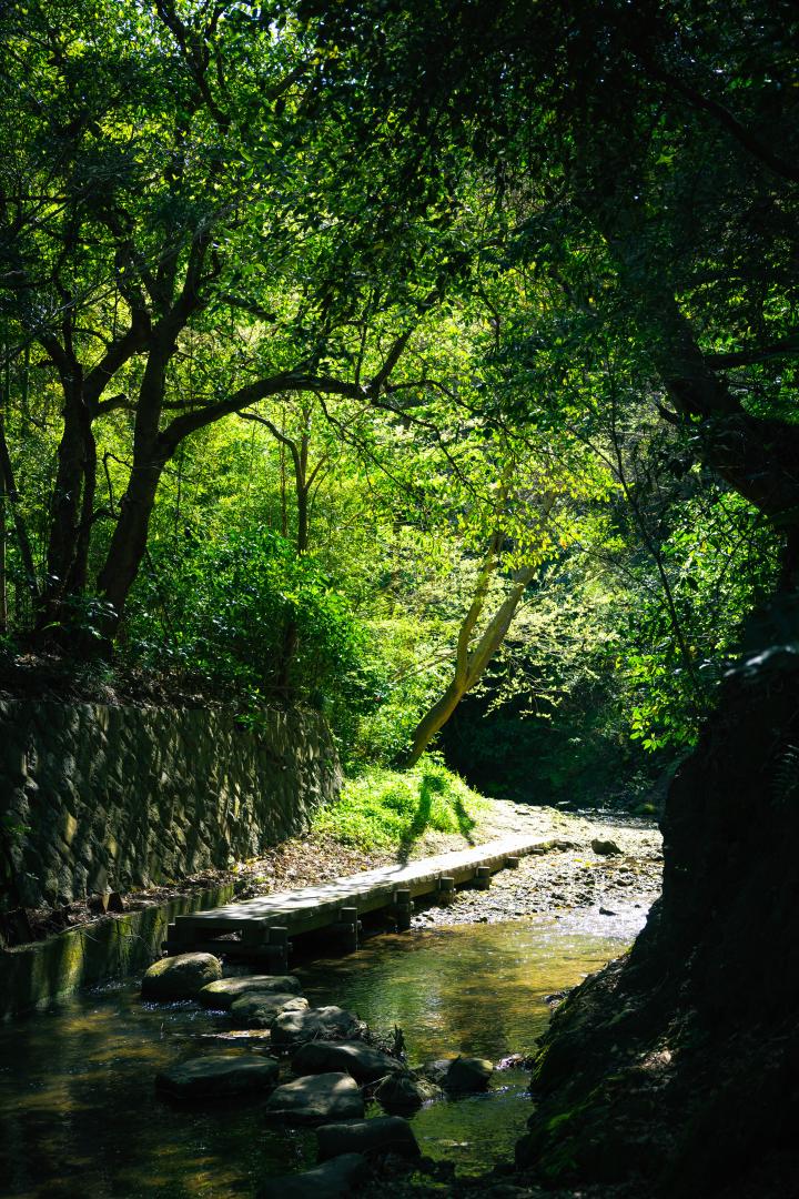 前田川_縦