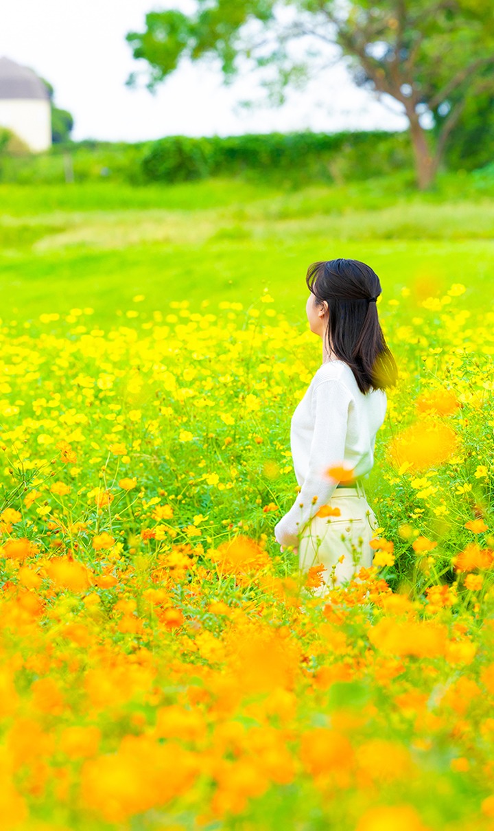 HP画像1s_2610