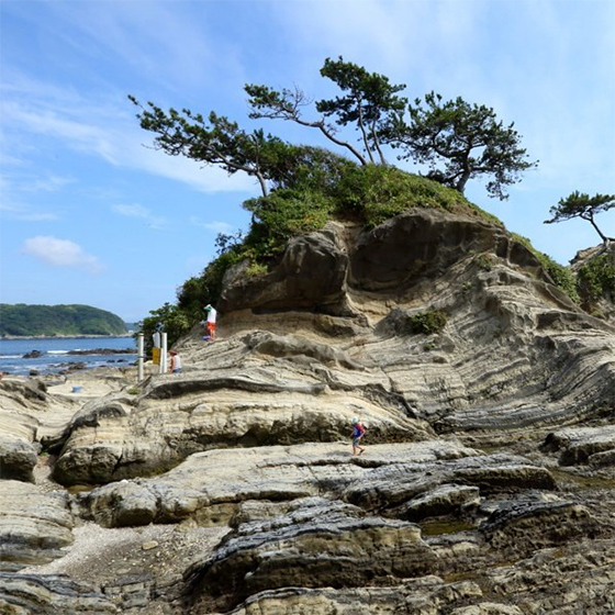 よこすかで遊ぶ、楽しむ|横須賀市