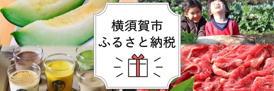 ふるさと納税トップ