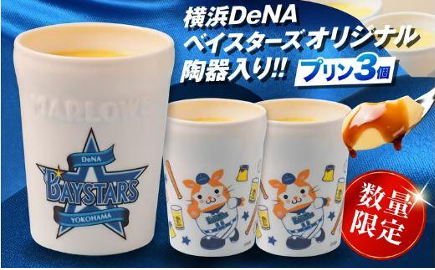 ベイスターズふる納返礼品①（第2弾）