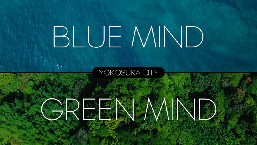 BLUE MIND GREEN MIND