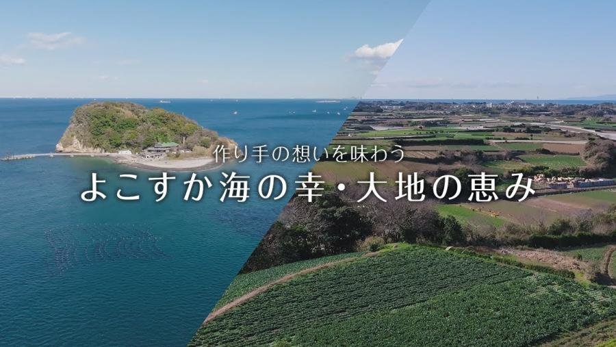 作り手の想いを味わう よこすか海の幸・大地の恵み