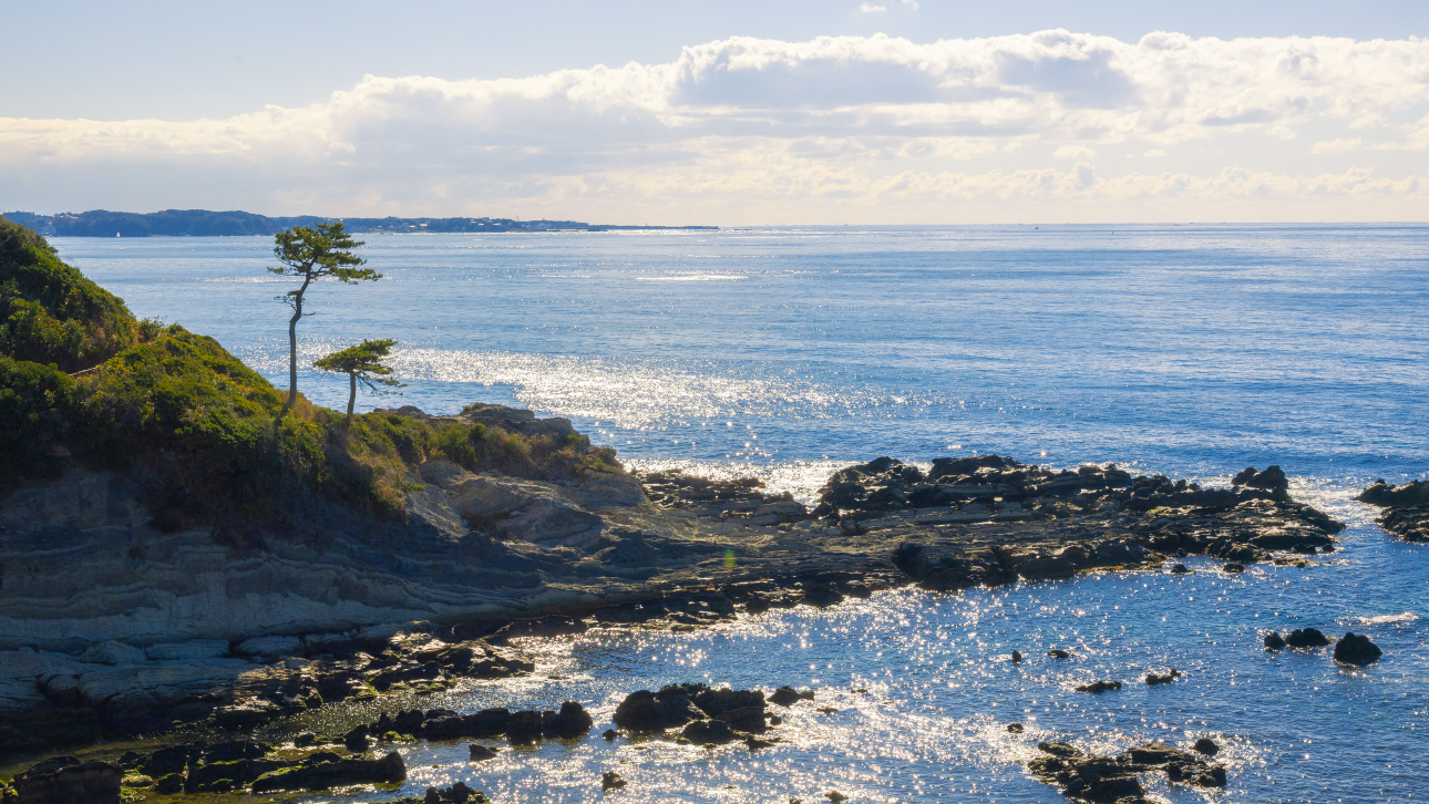 ヨコスカココカラ