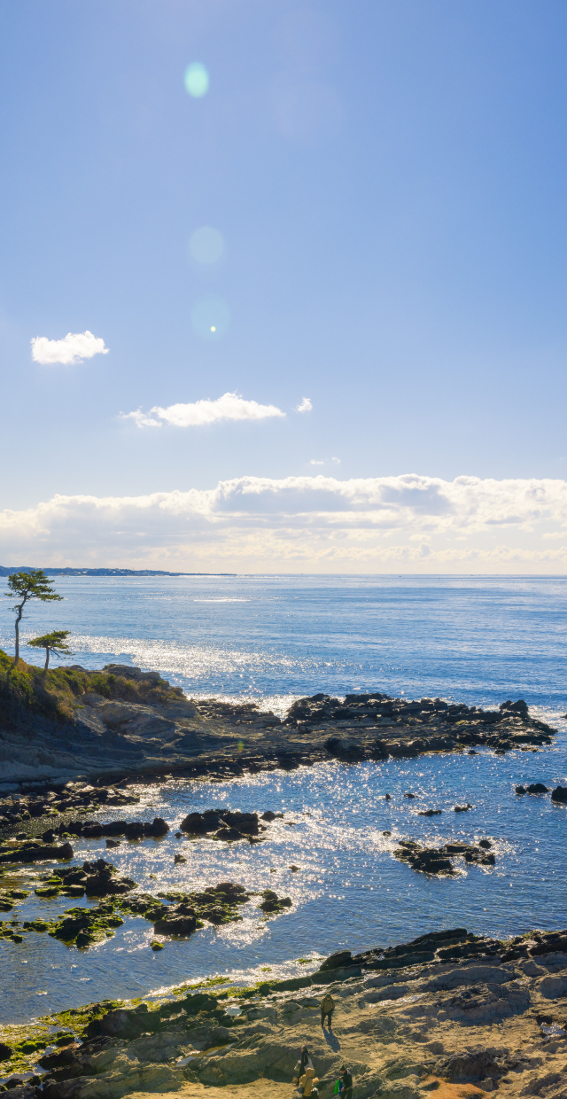 ヨコスカココカラ